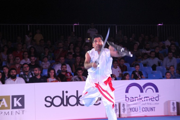 Martial Arts Festival